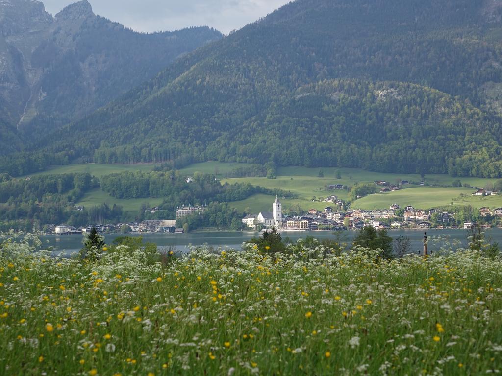 Apartment View Saint Wolfgang